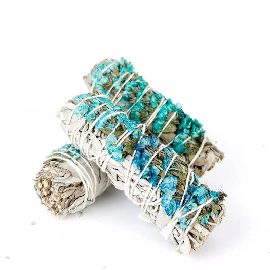 4" Blue Sinuata with White Sage (Reduces Exhaustion - Mood Swings - Calmness)